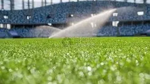 “张本智和金奈站比赛中遭遇意外：场馆惊现鸟粪场面尴尬”